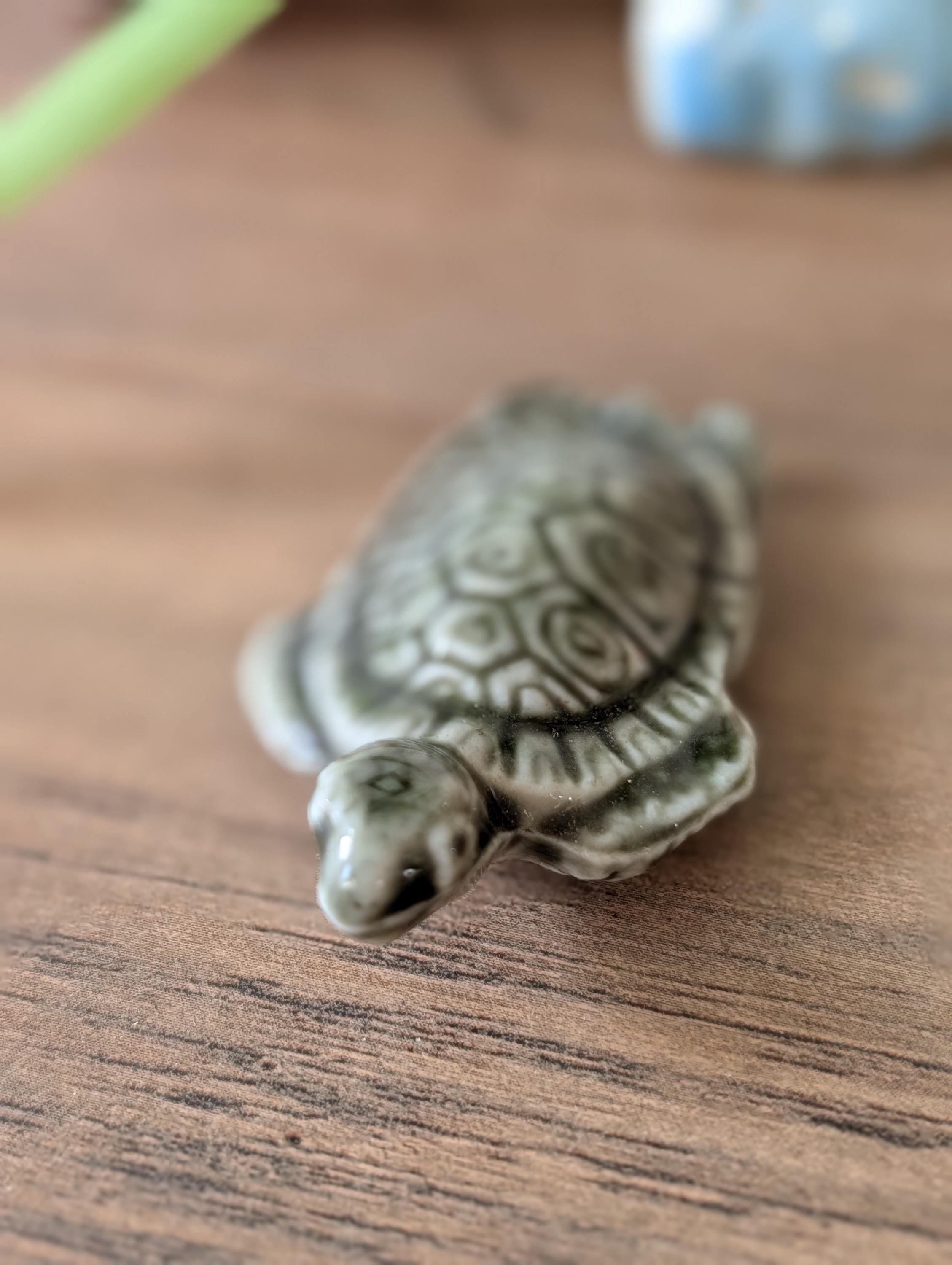 Magnifique bague avec une tortue de mer | Superbe bijou