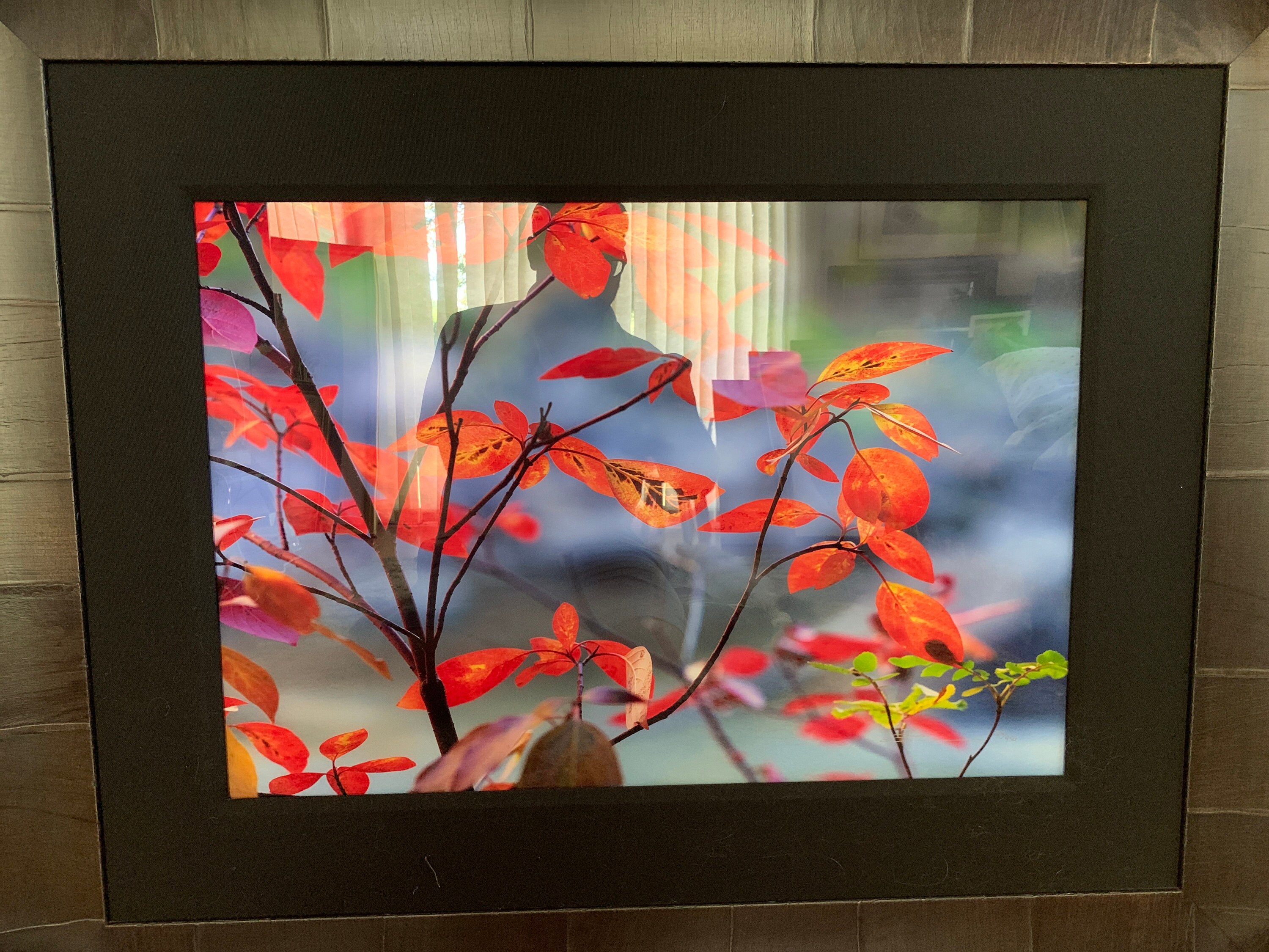 Peter Lik Original Print Signed and Numbered october Etsy