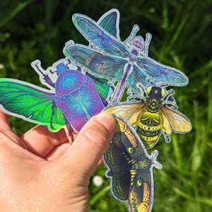 Mystical Insect Sticker Bundle, Inset Stickers, Cute Bug Stickers, Bee Sticker, Dragonfly Sticker, Beetle Sticker, Moth Sticker,