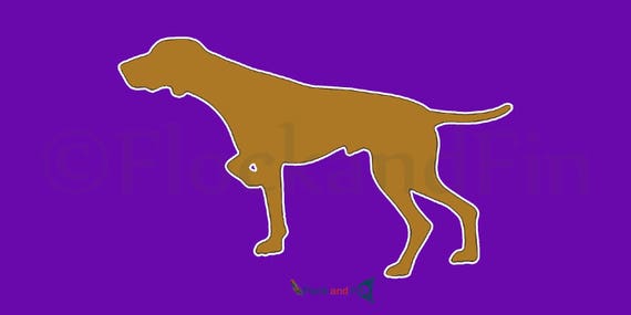 german shorthaired pointer license plate