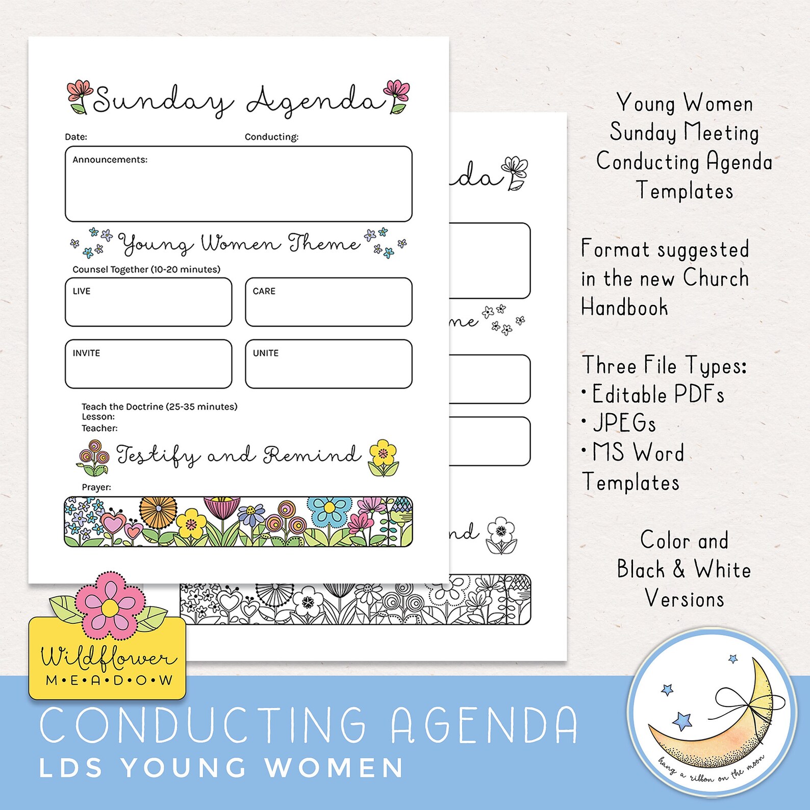 Young Women Conducting Agenda for Sunday Meetings Editable - Etsy