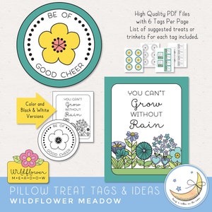 LDS Young Women Girls Camp Pillow Treat tags. Be of good cheer. Plant a little seed of faith in your heart. Take time to dance in the wildflowers. Every day is a fresh start. You cant grow without rain. A little something to brighten your day.