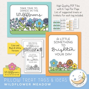 LDS Young Women Girls Camp Pillow Treat tags. Be of good cheer. Plant a little seed of faith in your heart. Take time to dance in the wildflowers. Every day is a fresh start. You cant grow without rain. A little something to brighten your day.
