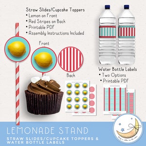 Lemonade Stand Printable Pack: Banner Signs Straw image 5