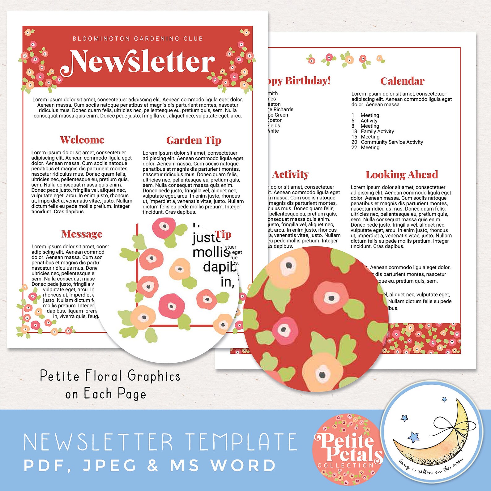 Newsletter Template Editable in Adobe Reader PS PSE Canva Etsy