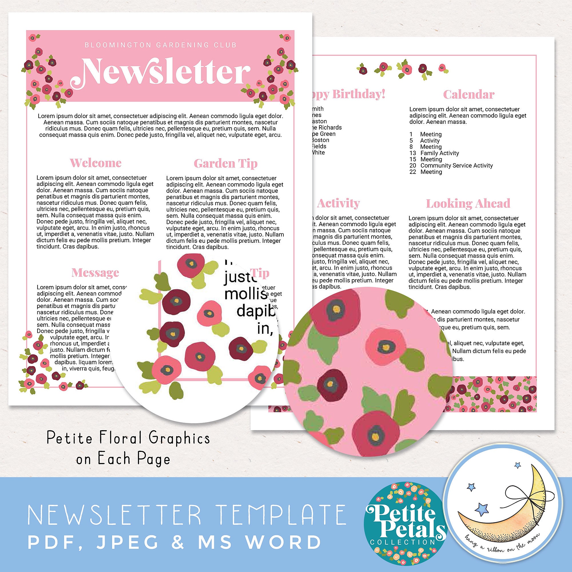 Newsletter Template, Two Pages, Editable in Adobe Reader, PS, PSE ...