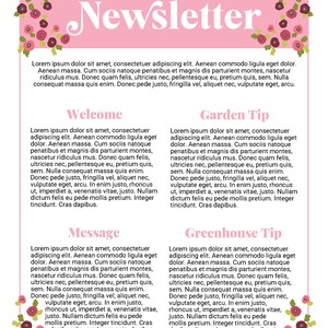 Newsletter Template, Two Pages, Editable in Adobe Reader, PS, PSE ...