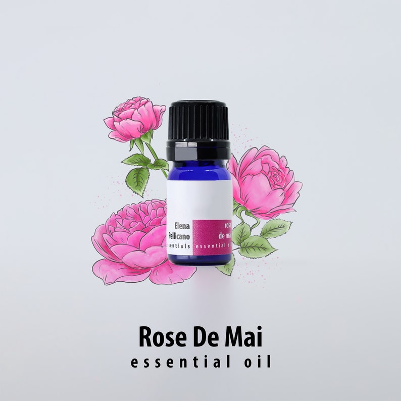 Rose De Mai Essential Oil 100% pure, 2ml Or 5ml, Indian, Cabbage Rose Centifolia Essential Oil, Dropper Bottle, Aromatherapy Gift For Wife image 1