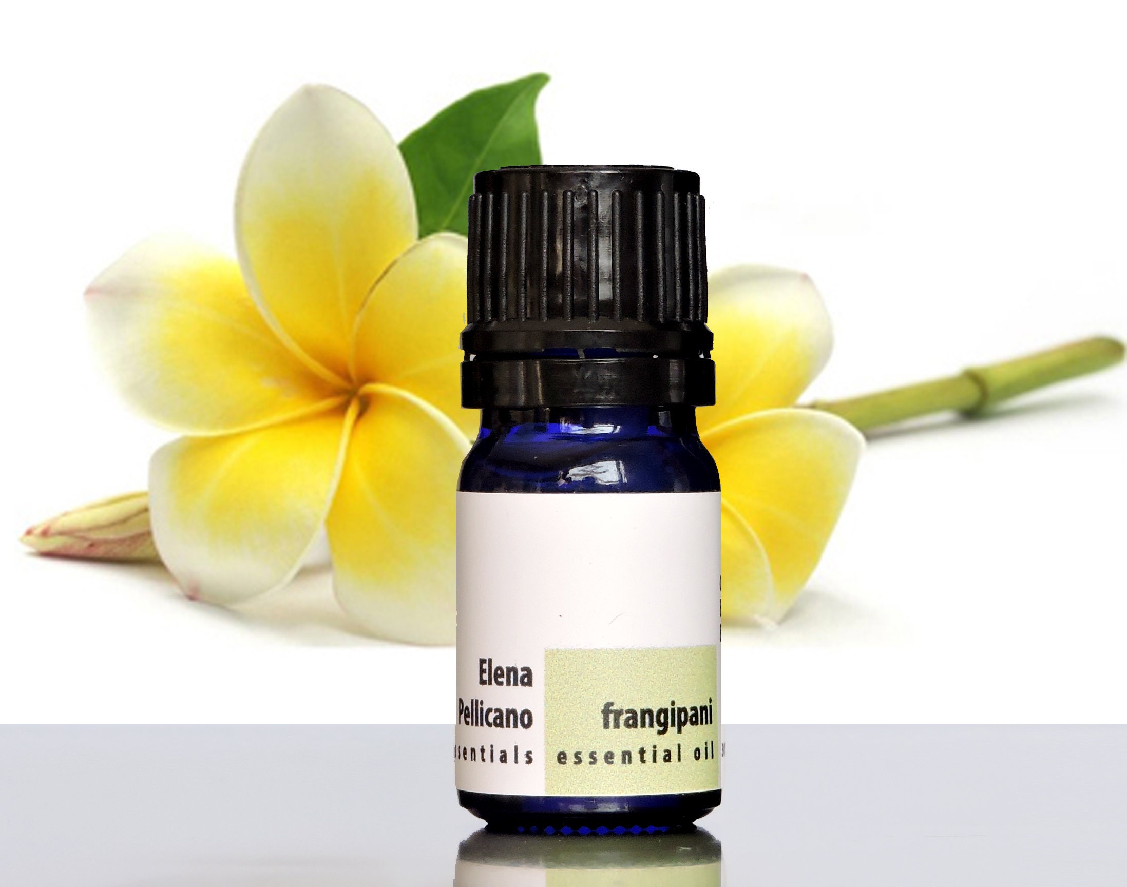 Egyptian Frangipani Essential Oil (Plumeria) - A Natural Perfume to Awaken  Joy. A Confident Floral Scent Used Alone or Mixed as a Top Note. - Nur  Creative Studio