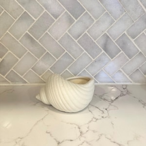 May include: White ceramic seashell planter. The planter is shaped like a seashell and has a smooth, glossy finish.
