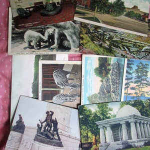 7 cartoline d'epoca, cartoline SENZA FRANCOBOLLI, cartoline di viaggio, Castle Rock, Lincoln Memorial, Washington Zoo Grand Hotel a Chicago, Cimitero