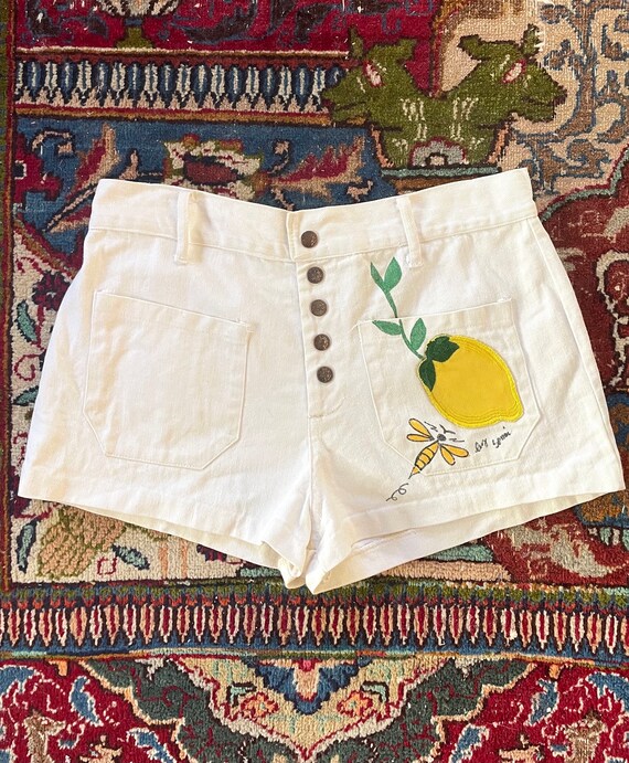 1970s Shorts / Vintage 70s Hot Pants 