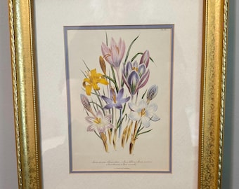 Vintage Jane Wells Loudon Botanical Print | Gold Gilt Wood Frame, Floral Art