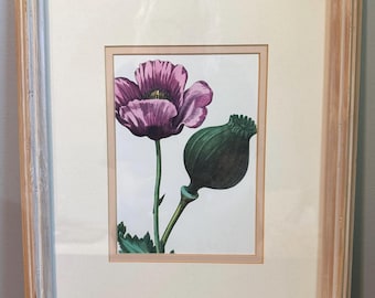 1950s Botanical Book Page Art | vintage Wood Framed Wall Art 12 x 14