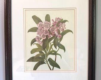 1950s Botanical Book Page Art | vintage Wood Framed Wall Art 12 x 14