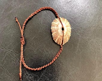 Fissurella Nodosa Shell Bracelet | Hand-Knotted Waxed Cord Beach Jewelry