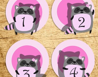 Instant Download: Racoon Monthly Baby Sticker, Baby Girl Month, Printable  Just Born Stickers, Pink