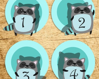 Racoon Monthly Baby Sticker, Instant Download, Baby, Boy, Printable, Just Born Stickers, Blue