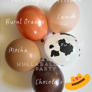Cowgirl Balloons | Barnyard Birthday | Farm Baby Shower | Balloons for Baby Block Boxes | First Rodeo Birthday | Wild One Birthday | Nash