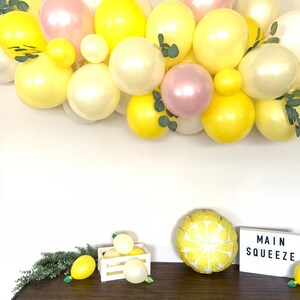 Pink Lemon Balloon Garland She Found Her Main Squeeze Bridal Shower Decor Love is Sweet Baby Shower It's Sweet To Be One First Birthda image 3