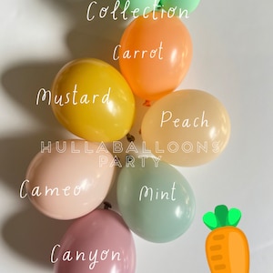 Carrot Balloons | Spring Birthday | A Little Bunny is on the Way Baby Shower | Some Bunny Birthday | Spring Bridal Shower | I Carrot About U