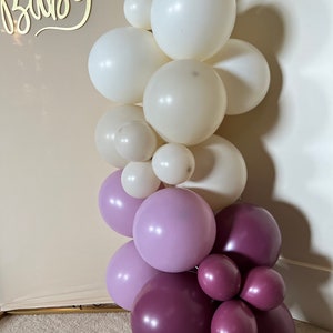 Wine Balloon Garland | Boho Baby Shower Decor | Moody Valentine Bridal Shower | Matte Balloons