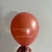 Tropical Smoothie Balloon Collection | First Trip Around the Sun ...