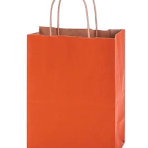 Borse regalo in terracotta / Borse arancione bruciato da 8" x 4,75" x 10" / Borse per la spesa a strisce arancioni Kraft Shadow / Borse per bomboniere Boho