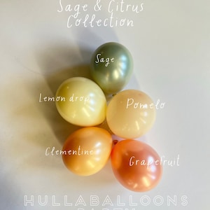 Palloncini salvia e agrumi / Crea la tua ghirlanda Palloncini personalizzati a doppio strato / Addio al nubilato salvia e agrumi / Baby shower agli agrumi