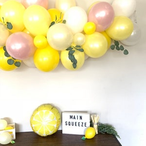 Pink Lemon Balloon Garland She Found Her Main Squeeze Bridal Shower Decor Love is Sweet Baby Shower It's Sweet To Be One First Birthda image 4