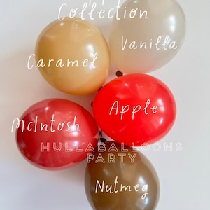 Äppelpajballonger | Vårt ögas äpple första födelsedag | Söt som en paj babyshower | Babyblockballonger | Rustik höstmöhippa bild 2