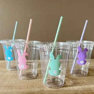Easter Bunny Cups with Straws | Some Bunny’s  Birthday | Bunny Party Favor Cups | 16 oz Plastic Cups | Little Bunny Plastic Cups with Lids