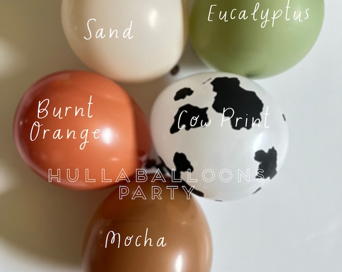 Barnyard Balloons | Barnyard Birthday | Farm Baby Shower | Balloons for Baby Block Boxes | First Rodeo Birthday | Wild West