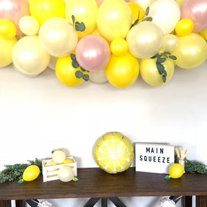 Pink Lemon Balloon Garland She Found Her Main Squeeze Bridal Shower Decor Love is Sweet Baby Shower It's Sweet To Be One First Birthda image 9