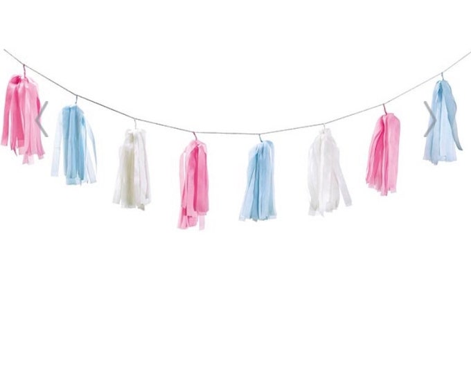 Pink and Blue Tassels | Gender Reveal Balloons | Gender Reveal Baby Shower Decor | Pink and Blue Balloon Tassels | He or She Gender Reveal