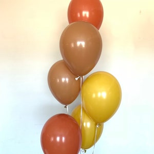 Boho Rainbow Balloons | Burnt Orange Balloons | Fall Bridal Shower | Fall Baby Shower Decor | Boho Birthday Balloons | Fall Harvest Balloons