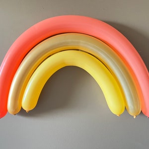 Boho Rainbow Balloons | DIY Boho Rainbow | Rainbow Birthday Party | Boho First Birthday | Rainbow Photo Prop