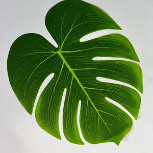 Monstera Leaves | Greenery Decor | Green Leaves | Balloon Garland Greenery | Eucalyptus Bridal Shower Decor | Eucalyptus Wedding Decor