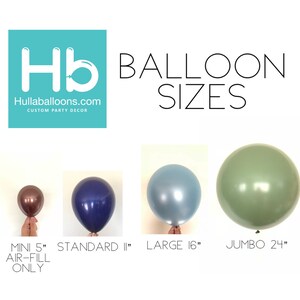 May include: A chart showing the different sizes of balloons available. The sizes are 5 inches, 11 inches, 16 inches, and 24 inches. The balloons are shown in different colors, including brown, blue, silver, and green.