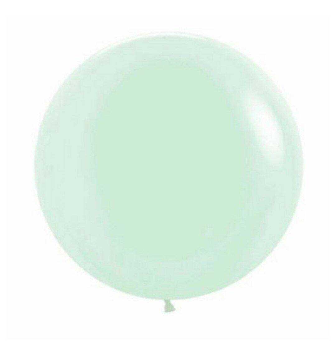 Ballon Pastel Menthe - 30 cm