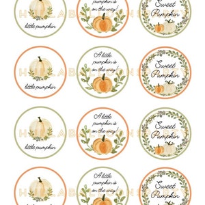 A Little Pumpkin is on the Way Cupcake Toppers DIGITAL Download | Sweet Little Pumpkin Baby Shower Decor | Little Pumpkin Cupcake Toppers