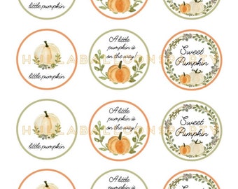 A Little Pumpkin is on the Way Cupcake Toppers DIGITAL Download | Sweet Little Pumpkin Baby Shower Decor | Little Pumpkin Cupcake Toppers