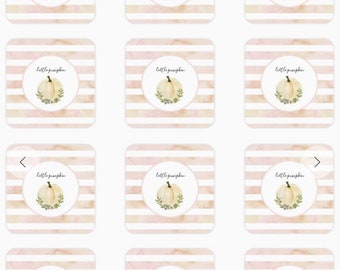 Little Pumpkin Stickers | One Sheet of 20 Square 1.5” Little Pumpkin Stickers | Blush Little Pumpkin Baby Shower Favors