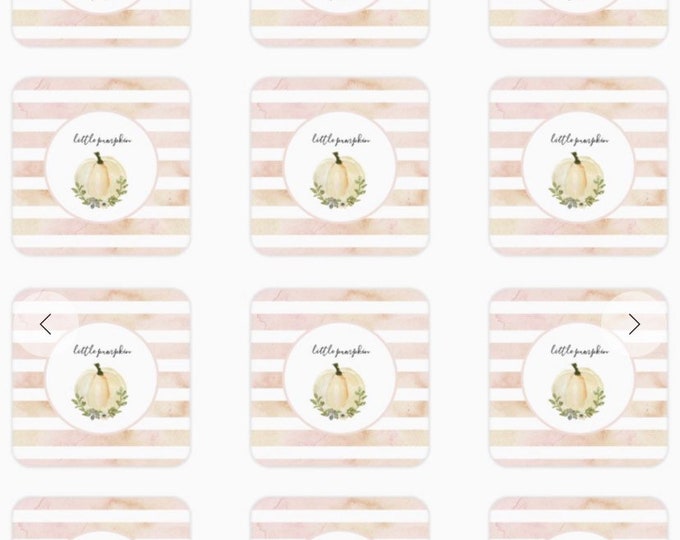 Little Pumpkin Stickers | One Sheet of 20 Square 1.5” Little Pumpkin Stickers | Blush Little Pumpkin Baby Shower Favors
