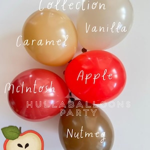 Äppelpajballonger | Vårt ögas äpple första födelsedag | Söt som en paj babyshower | Babyblockballonger | Rustik höstmöhippa bild 6