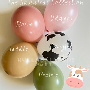 Little Cowgirl Balloons | Sassy Barnyard Birthday | A Little Cowgirl is on the Way Baby Shower | First Rodeo Birthday | How The West Was One