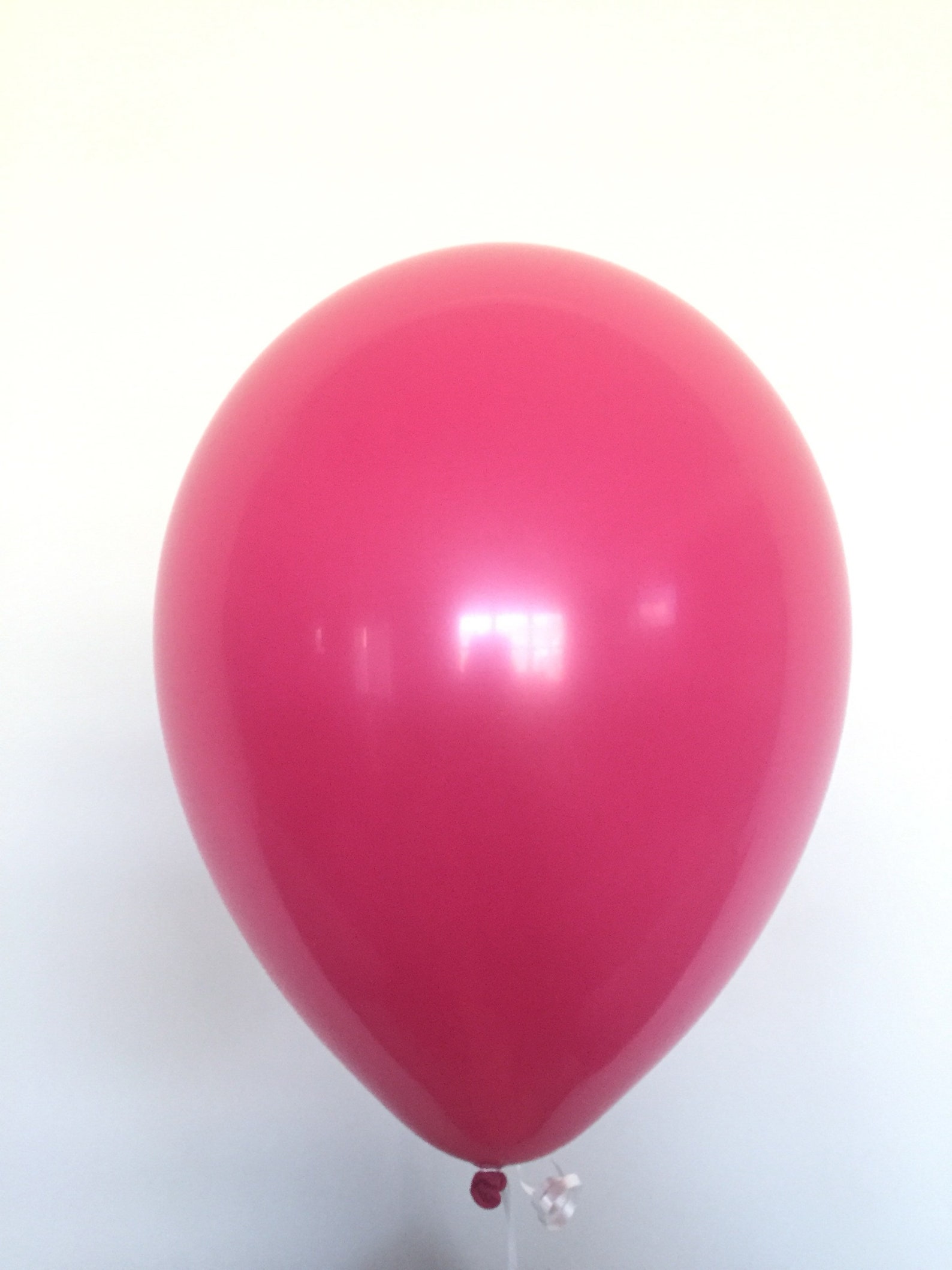 Dog Balloons Paw Print Balloons Dog Birthday Balloons Etsy