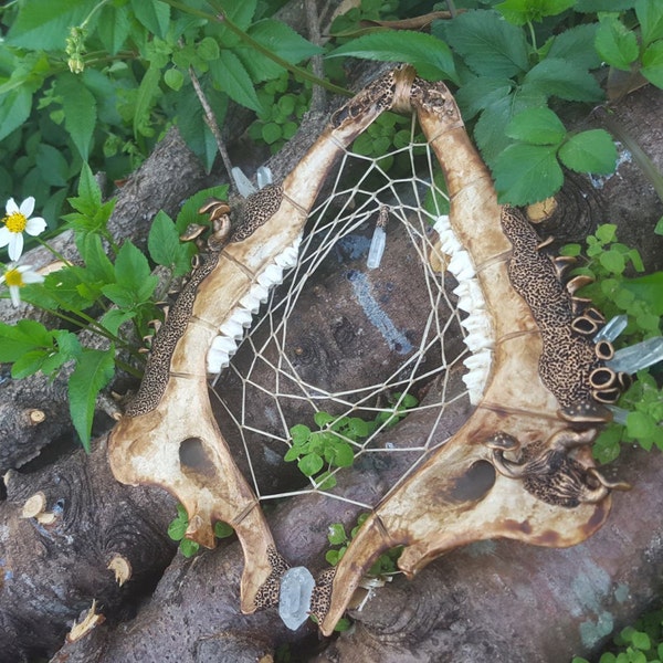 Mano tallada, seta y cristal incrustados, ciervos Jawbone Dream Catcher - Wall Art