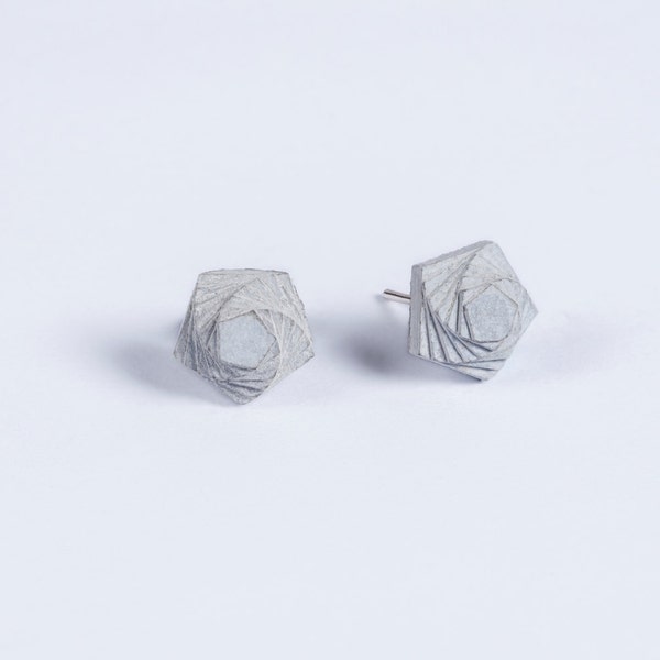 Concrete Earrings # 5 Aesthetic Earrings Architectural Succulent Jewelry  Architectural pentagonal Pride earrings