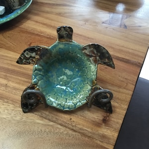 Turtle bowl